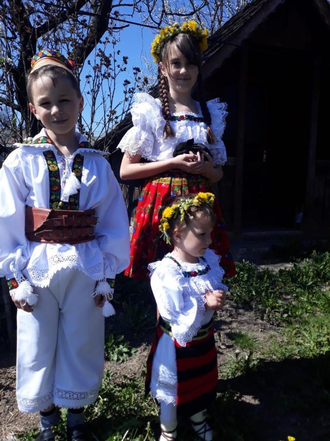 Pensiunea Maria Sighetu Marmaţiei Buitenkant foto
